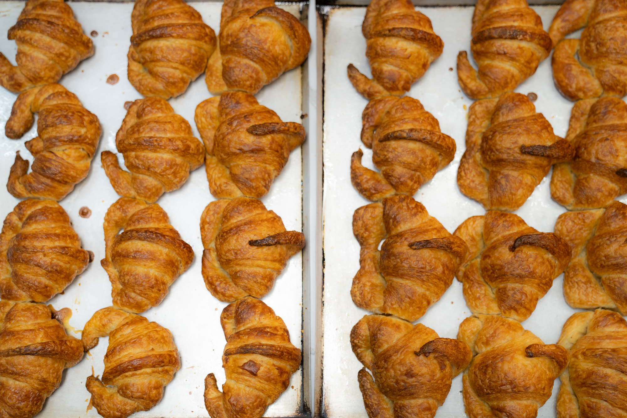 Croissants recién horneados